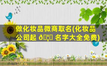 做化妆品微商取名(化妆品公司起 🦁 名字大全免费)
